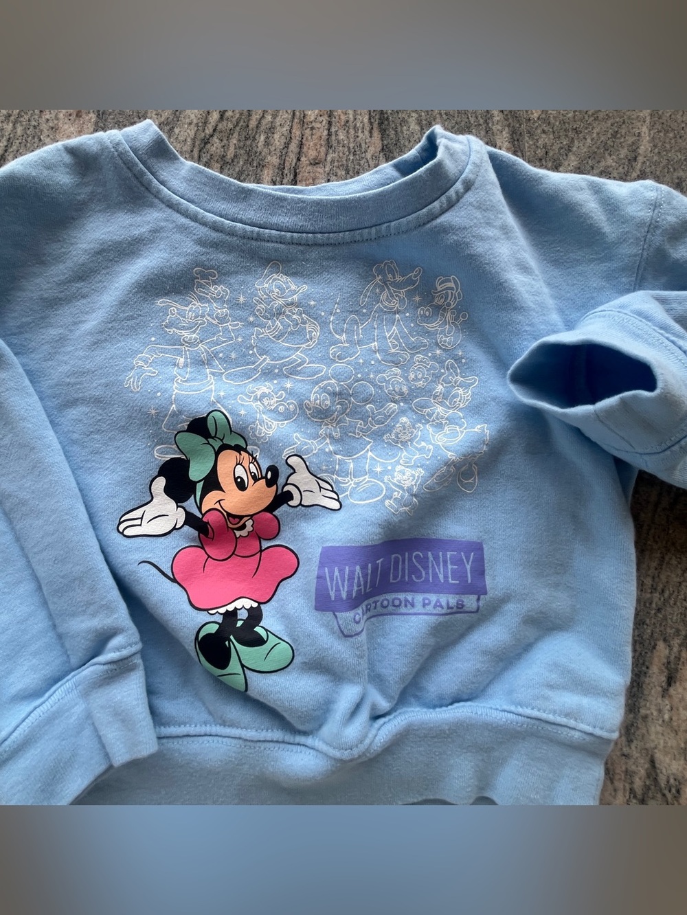 Disneyland sweatshirt